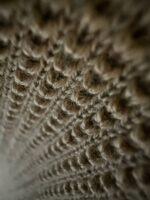 بافت نیم زیپ کد 0558607 - Image 6